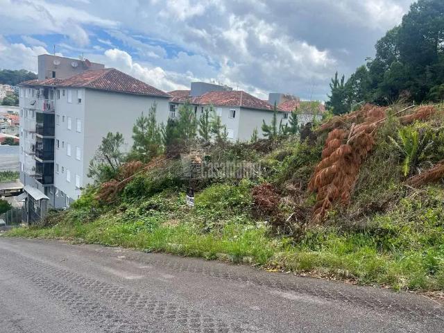 Terreno venda em Região Geográfica Imediata de Bento Gonçalves, Bento Gonçalves
