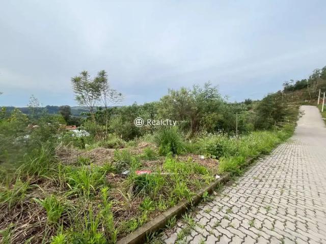 Terreno venda em Região Geográfica Imediata de Bento Gonçalves, Bento Gonçalves