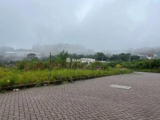Terreno venda em Região Geográfica Imediata de Bento Gonçalves, Bento Gonçalves