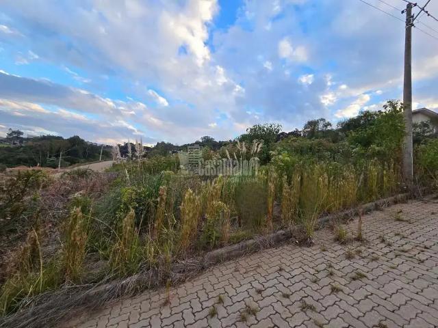 Terreno venda em Região Geográfica Imediata de Bento Gonçalves, Bento Gonçalves