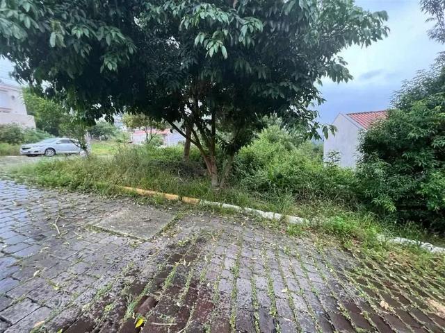 Terreno venda em Região Geográfica Imediata de Bento Gonçalves, Bento Gonçalves