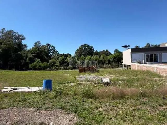 Terreno venda em Região Geográfica Imediata de Bento Gonçalves, Bento Gonçalves