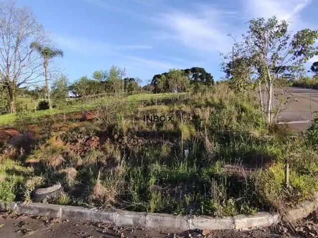 Terreno venda em Tuiuty, Bento Gonçalves