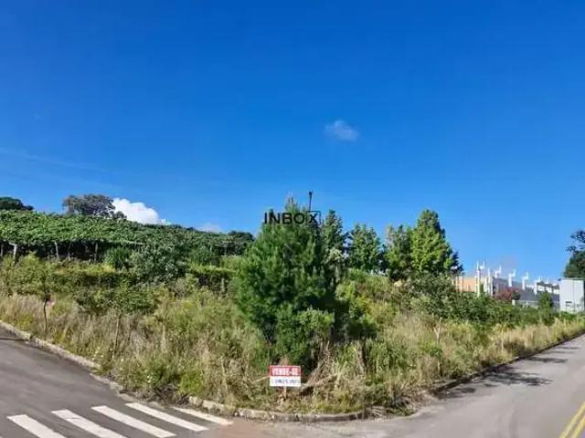 Terreno venda em Região Geográfica Imediata de Bento Gonçalves, Bento Gonçalves