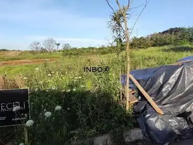Terreno venda em Tuiuty, Bento Gonçalves