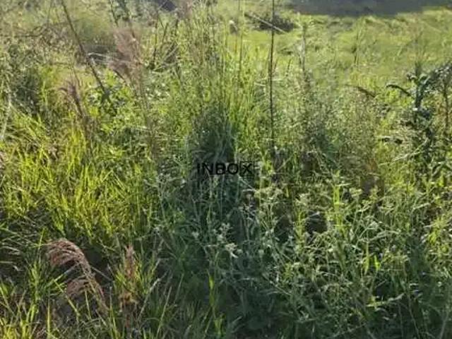 Terreno venda em Tuiuty, Bento Gonçalves