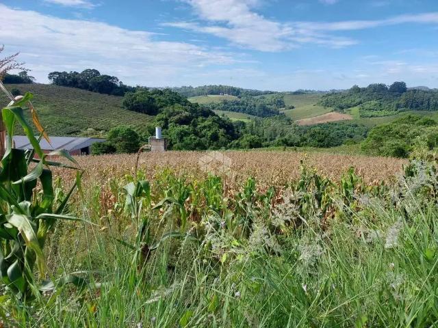 Terreno venda em Tuiuty, Bento Gonçalves