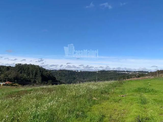 Terreno venda em Região Geográfica Imediata de Bento Gonçalves, Bento Gonçalves