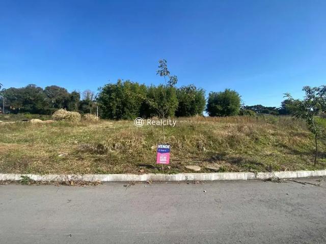 Terreno venda em Região Geográfica Imediata de Bento Gonçalves, Bento Gonçalves