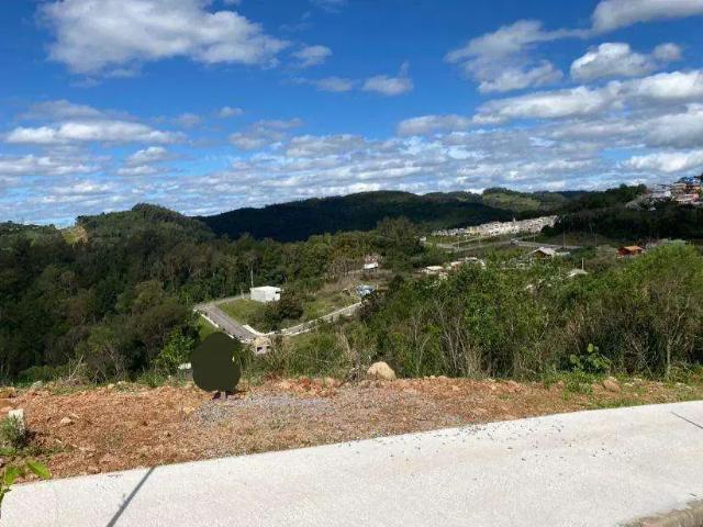 Terreno venda em Região Geográfica Imediata de Bento Gonçalves, Bento Gonçalves
