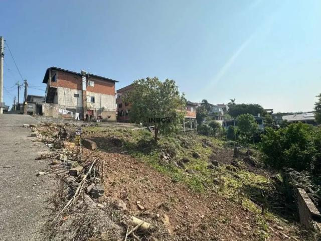 Terreno venda em Região Geográfica Imediata de Bento Gonçalves, Bento Gonçalves