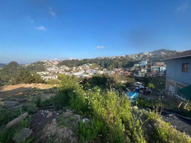 Terreno venda em Região Geográfica Imediata de Bento Gonçalves, Bento Gonçalves