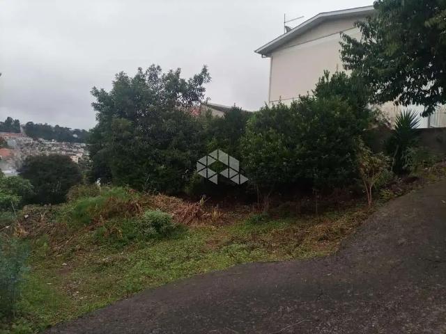 Terreno venda em Região Geográfica Imediata de Bento Gonçalves, Bento Gonçalves