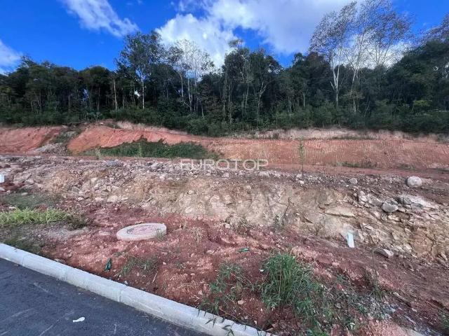 Terreno venda em Região Geográfica Imediata de Bento Gonçalves, Bento Gonçalves