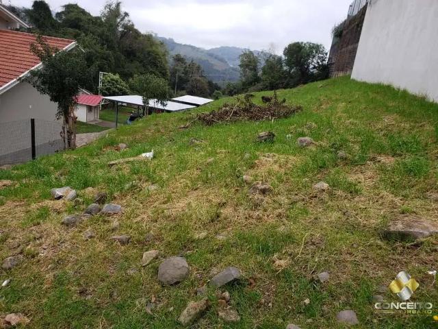 Terreno venda em Região Geográfica Imediata de Bento Gonçalves, Bento Gonçalves