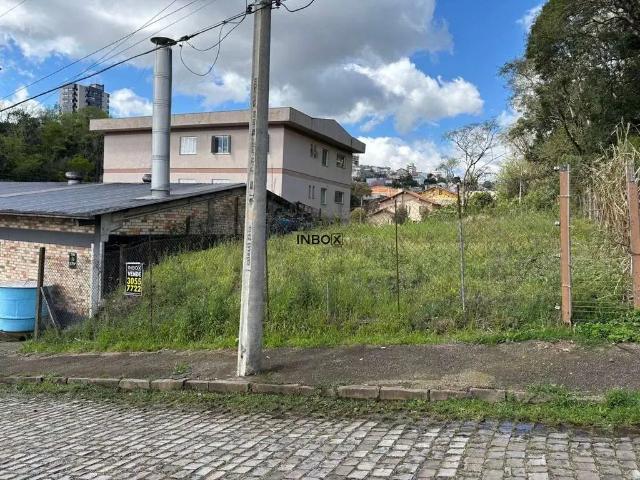 Terreno venda em Região Geográfica Imediata de Bento Gonçalves, Bento Gonçalves