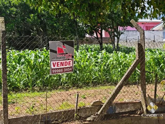Terreno venda em Região Geográfica Imediata de Bento Gonçalves, Bento Gonçalves