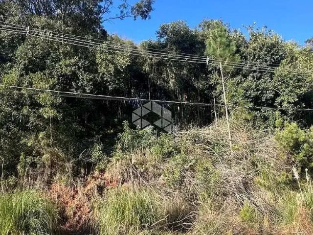 Terreno venda em Região Geográfica Imediata de Bento Gonçalves, Bento Gonçalves