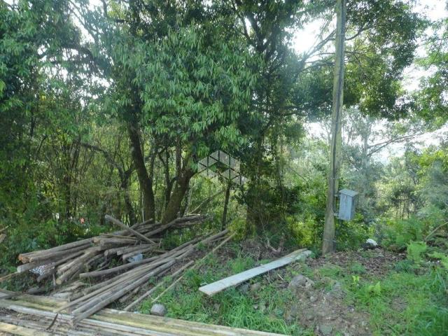 Terreno venda em Região Geográfica Imediata de Bento Gonçalves, Bento Gonçalves