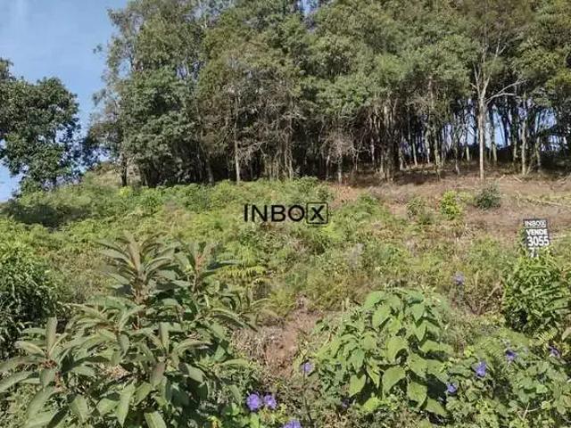 Terreno venda em Região Geográfica Imediata de Bento Gonçalves, Bento Gonçalves