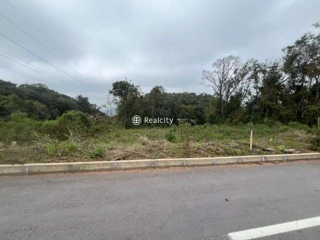 Terreno venda em Região Geográfica Imediata de Bento Gonçalves, Bento Gonçalves