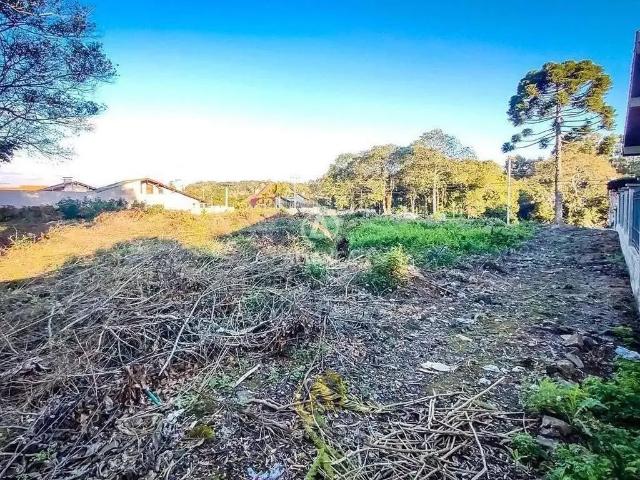 Terreno venda em Bento Gonçalves, Região Geográfica Intermediária de Caxias do Sul