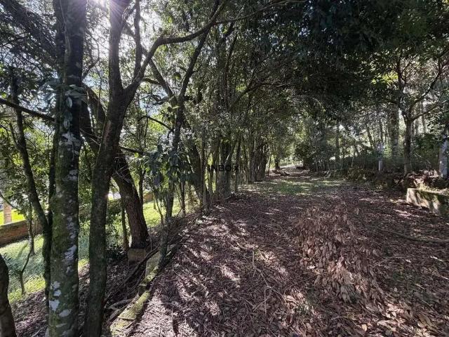 Terreno venda em Região Geográfica Imediata de Bento Gonçalves, Bento Gonçalves