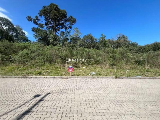 Terreno venda em Região Geográfica Imediata de Bento Gonçalves, Bento Gonçalves