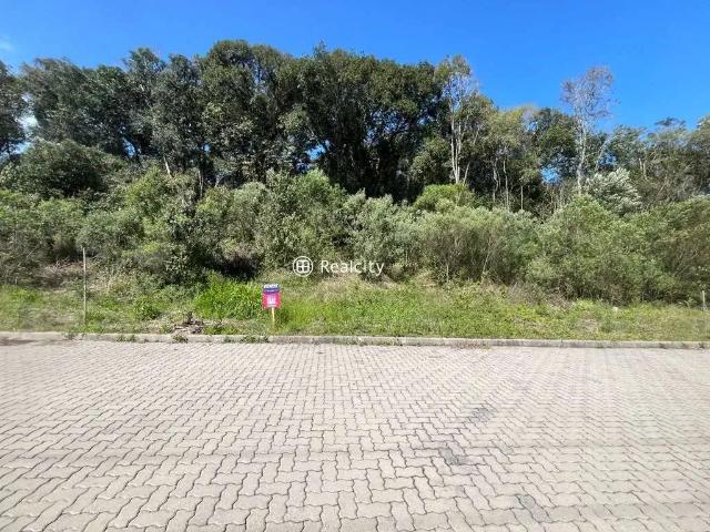 Terreno venda em Região Geográfica Imediata de Bento Gonçalves, Bento Gonçalves