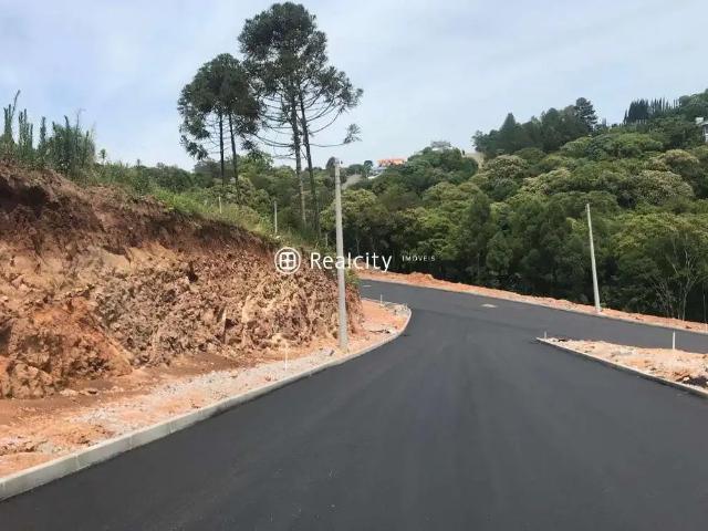 Terreno venda em Região Geográfica Imediata de Bento Gonçalves, Bento Gonçalves