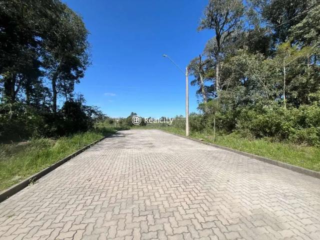 Terreno venda em Região Geográfica Imediata de Bento Gonçalves, Bento Gonçalves