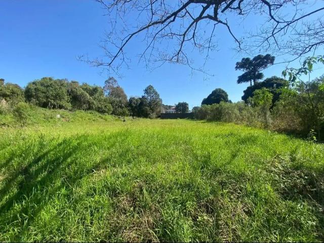 Terreno venda em Região Geográfica Imediata de Bento Gonçalves, Bento Gonçalves
