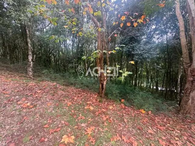 Terreno venda em Região Geográfica Imediata de Bento Gonçalves, Bento Gonçalves