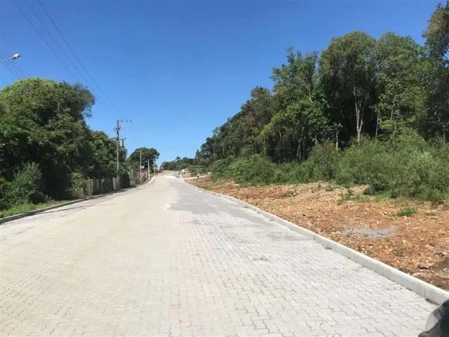 Terreno venda em Região Geográfica Imediata de Bento Gonçalves, Bento Gonçalves