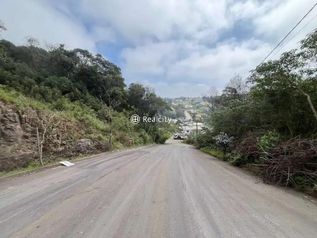 Terreno venda em Região Geográfica Imediata de Bento Gonçalves, Bento Gonçalves