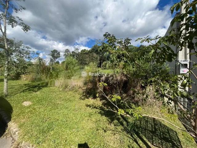 Terreno venda em Região Geográfica Imediata de Bento Gonçalves, Bento Gonçalves