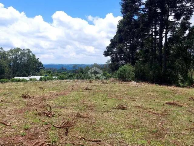 Terreno venda em Região Geográfica Imediata de Bento Gonçalves, Bento Gonçalves