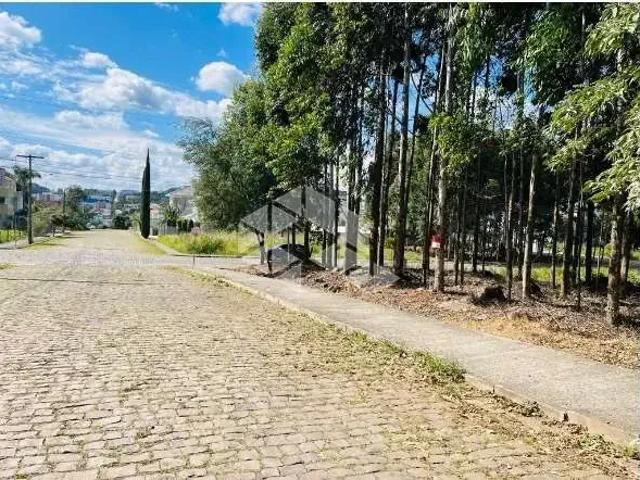 Terreno venda em Região Geográfica Imediata de Bento Gonçalves, Bento Gonçalves
