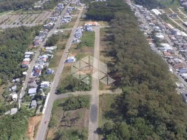Terreno venda em Região Geográfica Imediata de Bento Gonçalves, Bento Gonçalves