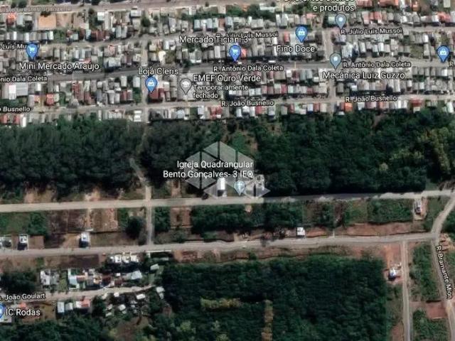 Terreno venda em Região Geográfica Imediata de Bento Gonçalves, Bento Gonçalves