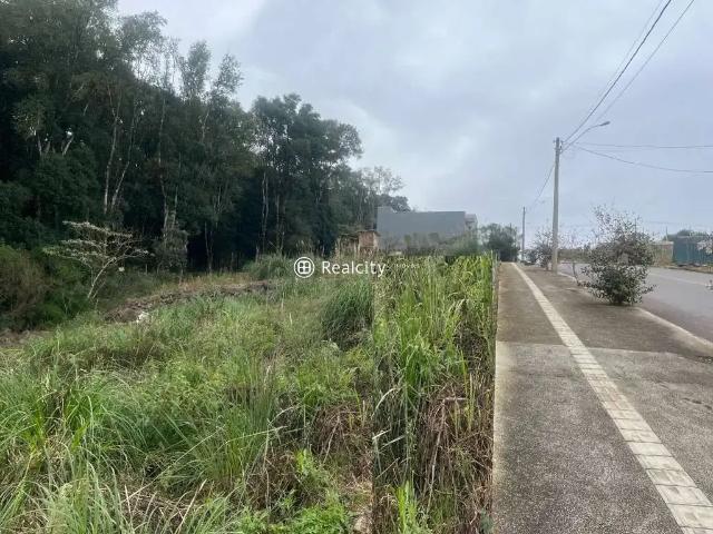 Terreno venda em Região Geográfica Imediata de Bento Gonçalves, Bento Gonçalves