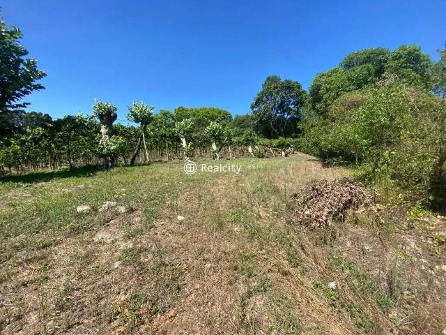 Terreno venda em Região Geográfica Imediata de Bento Gonçalves, Bento Gonçalves