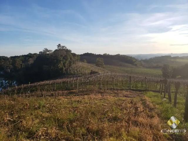 Terreno venda em Região Geográfica Imediata de Bento Gonçalves, Bento Gonçalves