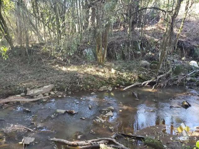 Terreno venda em Região Geográfica Imediata de Bento Gonçalves, Bento Gonçalves