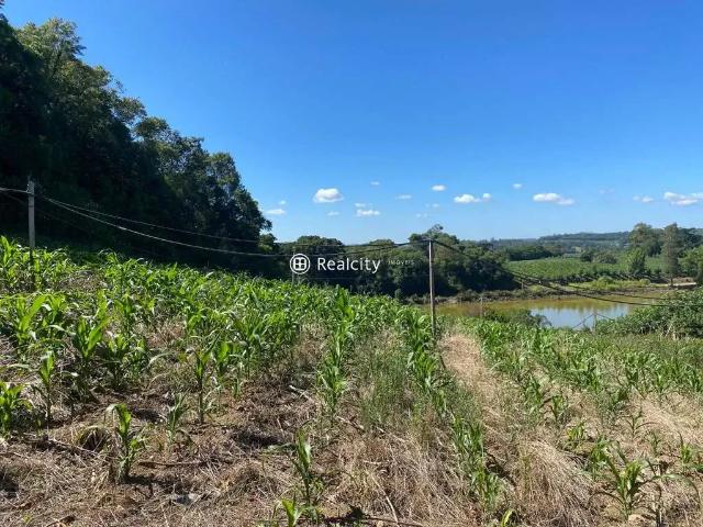 Terreno venda em Região Geográfica Imediata de Bento Gonçalves, Bento Gonçalves
