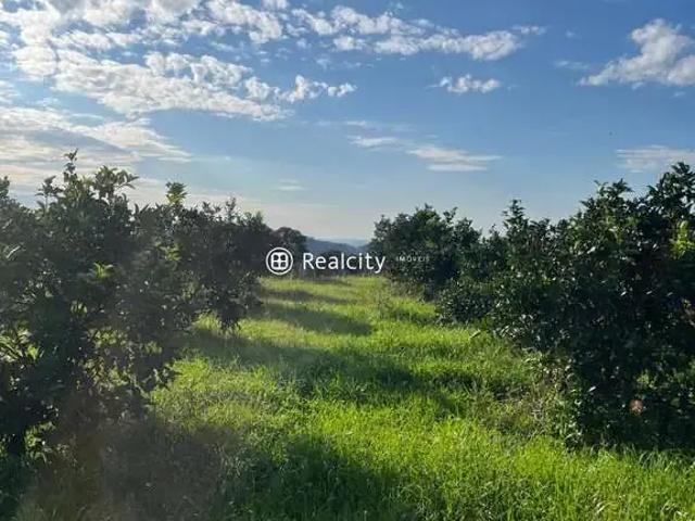 Terreno venda em Região Geográfica Imediata de Bento Gonçalves, Bento Gonçalves