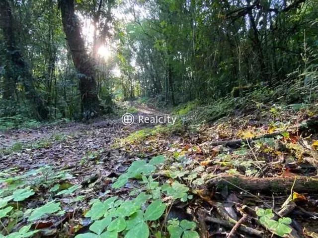 Terreno venda em Região Geográfica Imediata de Bento Gonçalves, Bento Gonçalves