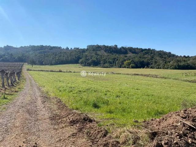 Terreno venda em Rio dos Índios, Região Sul