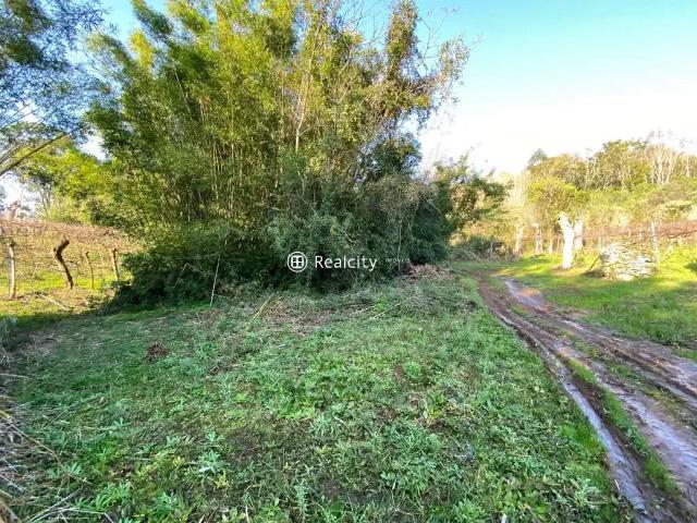 Terreno venda em Região Geográfica Imediata de Bento Gonçalves, Bento Gonçalves