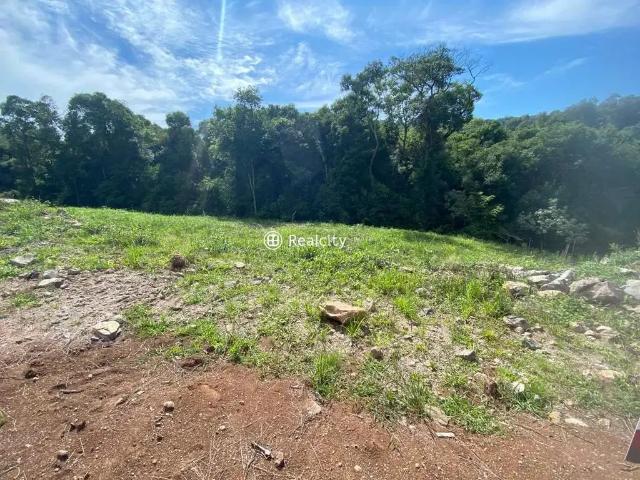 Terreno venda em Região Geográfica Imediata de Bento Gonçalves, Bento Gonçalves